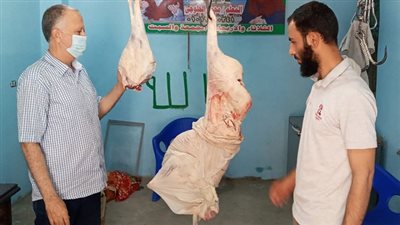 تموين الدقهلية.. مخالفات وتلاعب بالأسعار في مخابز وجزارة بمركز أجا بالدقهلية