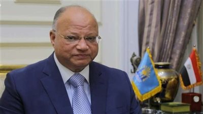 محافظ القاهرة يؤكد على انتظام سير العمل بالمراكز التكنولوجية للأحياء