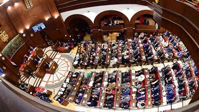 مجلس الشيوخ يرفض طلب رفع الحصانة عن النائب عبد المنعم سعيد