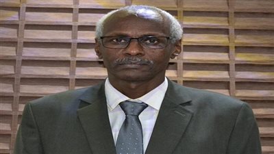 وزير الرى السودانى: ملف سد النهضة أصبح يهدد السلم والأمن الإقليميين