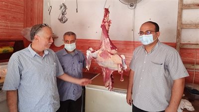 ضبط ١٥ شيكارة دقيق مدعم ولحوم خارج السلخانة بمدينة اجا بالدقهلية 