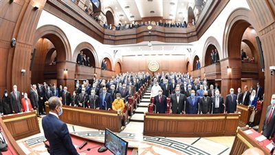 262 اجتماعا للجان النوعية لمجلس الشيوخ خلال دور الانعقاد الأول بواقع 478 ساعة