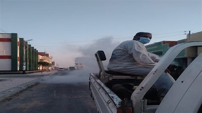 حملات مكبرة لمكافحة البعوض والذباب بالبحيرة 