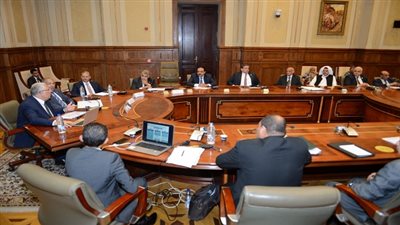 وزير الزراعة: مبادرة فخامة الرئيس السيسي 