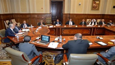 وزير الزراعة يؤكد على توجيهات القيادة السياسية بتعزيز التعاون  مع افريقيا 