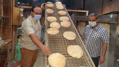 تموين الدقهلية.. ضبط ٧ مخابز مخالفين بمدينة أجا