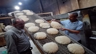 ضبط ٥ مخابز مخالفين باجا بالدقهلية 