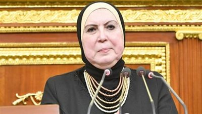 وزيرة الصناعة: هناك مصانع جاهزة بالرخصة 