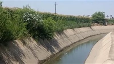 الرى: تبطين 2348 كيلو متر ترع فى محافظات الجمهورية