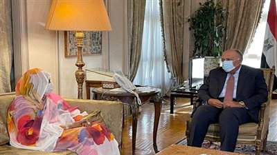 شكرى يؤكد أهمية التركيز على المشروعات الاستراتيجية مع السودان