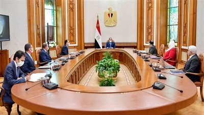  الرئيس السيسي يوجه بتعزيز منظومة دعم العاملين بمجال الفن 