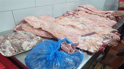 الإسكندرية: ضبط كميات لحوم مذبوحة خارج المجازر و16 طن أجبان فاسدة