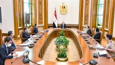 الرئيس يوجه بتأسيس البنية الكهربائية للمشروع العملاق 