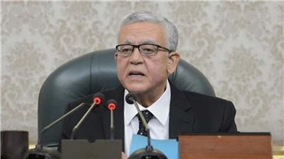 جبالى يهنئ نائبة التنسيقية لفوزها بمنصب نائب رئيس لجنة المرأة ببرلمانات أفريقيا