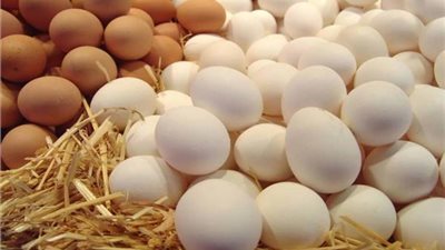 التموين تطرح كرتونة البيض فى المجمعات الاستهلاكية بسعر 49 جنيها