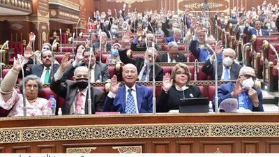 مجلس الشيوخ يوافق نهائيا على مشروع قانون 