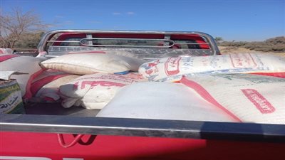 ضبط 10 أطنان من أسماك البساريا بالسويس منتهية الصلاحية