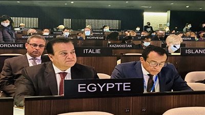 د. خالد عبد الغفار يلقى كلمة 