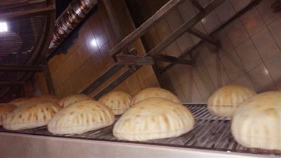 حملات  تموينية مكثفة على مخابز السنبلاوين بالدقهلية 