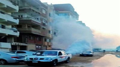 صحة السويس تكافح الحشرات الضارة بمنطقتي حوض الدرس وبورتوفيق