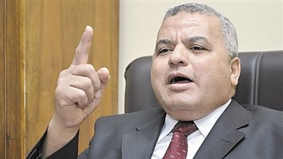 قنديل: ليس للطب الشرعي مصلحة في تزوير تقرير طالبة 