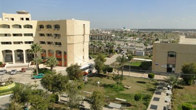 اليوم.. جامعة دمياط تستقبل شعلة أسبوع الجامعات