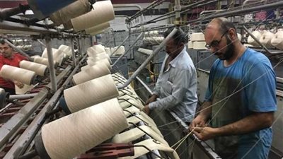 الحكومة: مصر تعيد إحياء صناعة الغزل والنسيج وتطور منظومة تداول القطن