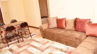 تسليم 4011 أسرة من مصر القديمة وحدات مفروشة بالسلام ضمن حياة كريمة