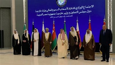 شكري بإجتماع وزراء الخارجية يؤكد: أمن الخليج جزء لا يتجزأ من أمن مصر