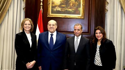 سفيرة النرويج بالقاهرة تلتقى رئيس الشيوخ وتشيد بإنجازات مصر فى حقوق الإنسان