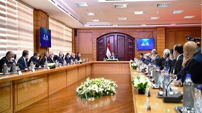 الرئيس السيسى يوجه 