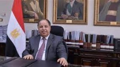 وزير المالية: كل دولار يستثمر فى الطاقة المتجددة يحقق مكاسب 2.5 دولار