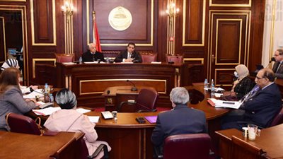 لجنة الصحة بالشيوخ تواصل مناقشة مشكلة الزيادة السكانية وحلولها