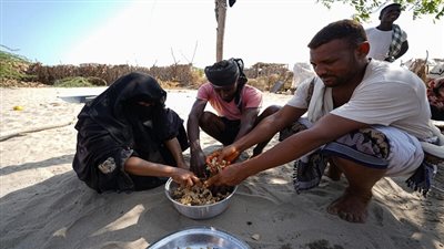 13 مليون يمني بصدد أزمة غذاء.. الأمم المتحدة تحذر من نفاذ أموال المساعدات 