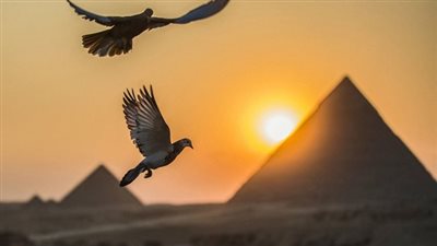 بعد الإمارات وقطر .. مصر أفضل دولة بالمعيشة عربيا