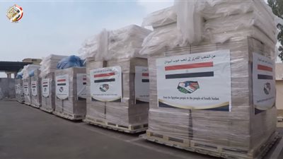 بتوجيهات الرئيس.. مصر ترسل مساعدات طبية وإنسانية لجنوب السودان.. فيديو