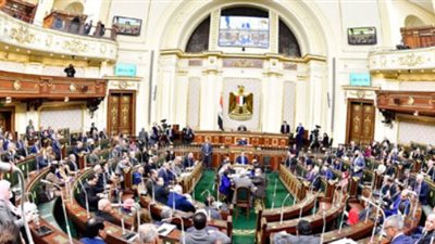 رئيس هيئة الدواء للنواب: نتصدى للخلطة السحرية لعلاج البرد