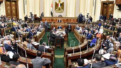 تضامن النواب توصى باستدعاء الحكومة لحسم 