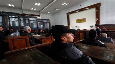 في الدقهلية.. سيدة تنقذ نجلها في المحكمة بعد قتله شقيقته حرقا