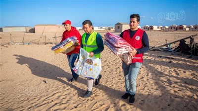 التضامن تطلق قافلة متكاملة لدعم الأهالي في حلايب وشلاتين