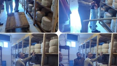 ضبط 9 أطنان جبنة رومي غير صالحة للاستهلاك خلال حملة رقابية بالبحيرة