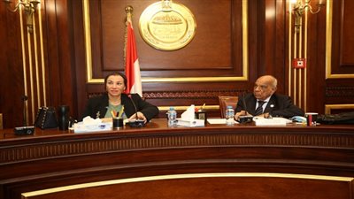 وزيرة البيئة تستعرض سياسات الحكومة حول الإجراءات المتخذة لمواجهة ظاهرة تغير المناخ 