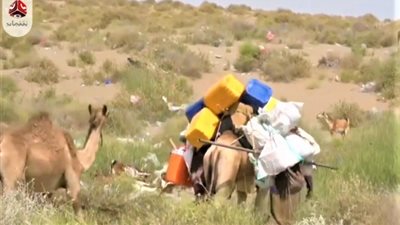 الهجرة الدولية: نزوح أكثر من 13 ألف شخص فى اليمن