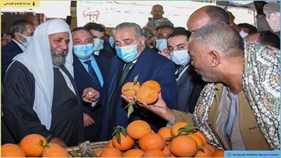 بحضور وزير التموين.. إطلاق بدء تشغيل سوق العامرية بالطاقة الشمسية