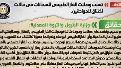 الحكومة تنفى تسبب وصلات الغاز الطبيعي للسخانات