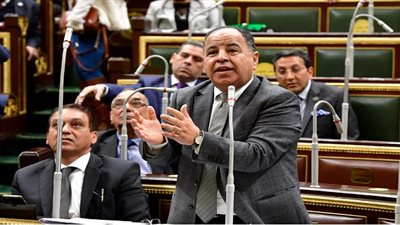 وزير المالية عن ضريبة التصرفات العقارية: تحصل من البائع وليس المشتري 