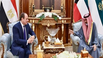 الرئيس السيسى: حريصون على استقرار الدول الخليجية الشقيقة