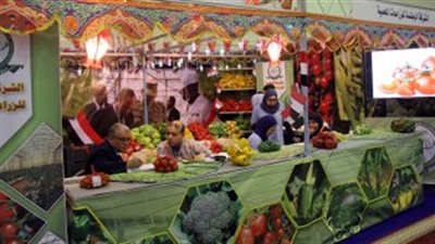 انطلاق معارض 