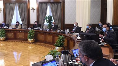 الحكومة: تغليظ عقوبة مزاولة مهنة الصيدلة دون ترخيص 