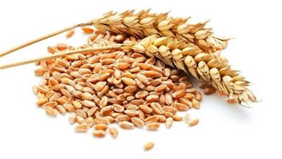 التموين تعلن عن مناقصة جديدة لشراء الأقماح 